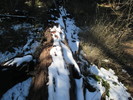photo thumbnail #7