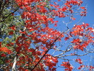 photo thumbnail #11