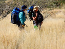 photo thumbnail #5