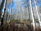 photo thumbnail #8