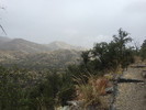 photo thumbnail #13