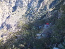 photo thumbnail #9