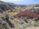 photo thumbnail #2
