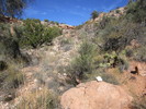 photo thumbnail #3