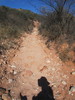 photo thumbnail #9