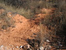 photo thumbnail #8