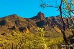 photo thumbnail #3