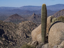 photo thumbnail #2