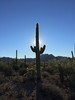 photo thumbnail #1