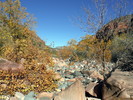 photo thumbnail #8