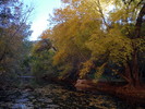 photo thumbnail #10