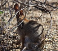 photo thumbnail #6