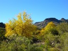 photo thumbnail #8