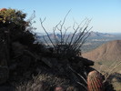 photo thumbnail #6