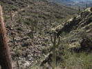 photo thumbnail #10