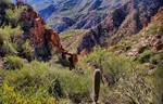 photo thumbnail #4