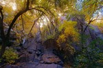 photo thumbnail #8
