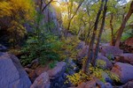 photo thumbnail #9