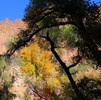 photo thumbnail #12