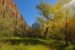 photo thumbnail #1