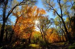 photo thumbnail #3
