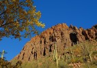 photo thumbnail #8