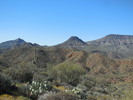 photo thumbnail #3