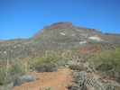 photo thumbnail #4