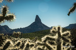 photo thumbnail #5