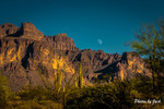 photo thumbnail #9
