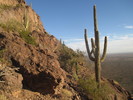 photo thumbnail #7