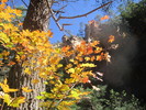 photo thumbnail #7