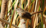 Featured Detail Photo