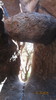 photo thumbnail #14