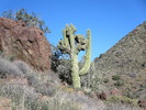 photo thumbnail #8