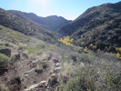 photo thumbnail #10