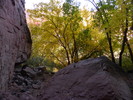 photo thumbnail #13
