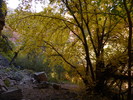 photo thumbnail #14