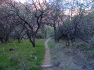 photo thumbnail #15