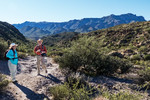 photo thumbnail #2