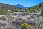photo thumbnail #4