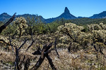 photo thumbnail #8