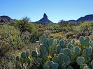 photo thumbnail #11