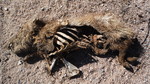 photo thumbnail #5
