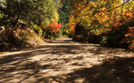 photo thumbnail #4