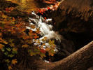 photo thumbnail #14