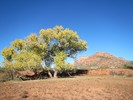 photo thumbnail #5