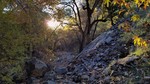 photo thumbnail #8