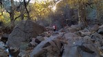 photo thumbnail #9