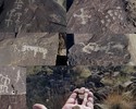 photo thumbnail #15